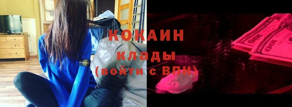 стаф Новокубанск