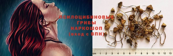 марки lsd Новодвинск