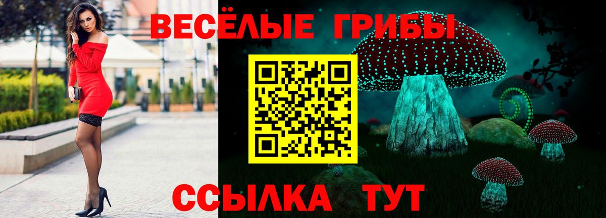 Галлюциногенные грибы мицелий  Галлюциногенные грибы мицелий  Вход с VPN  Татарск 
