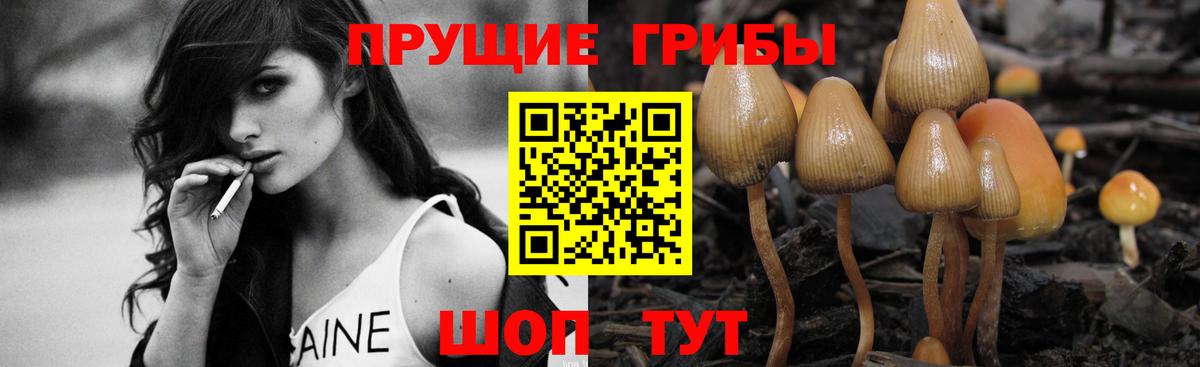Псилоцибиновые грибы Psilocybe  Татарск 